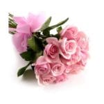 24 Pink Roses