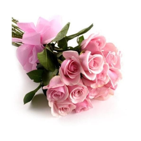 24-pink-roses