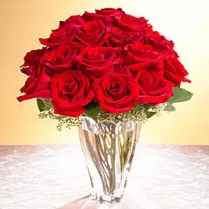24 Red Roses - Imported