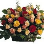 Blooms n Basket