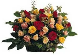 Blooms n Basket