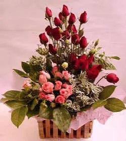 Congratulations