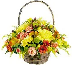Mixed Seasonal Arrangement