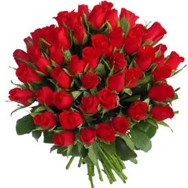 Red Romance