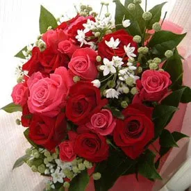 Valentine Rose Bunch