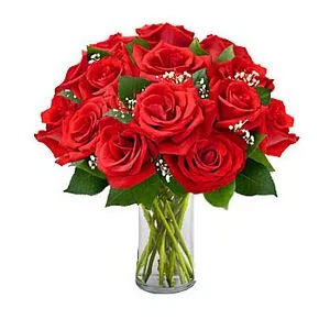 36 Red Roses in Vase