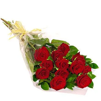 Charming Roses