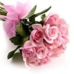 24 Pink Roses