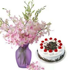 Glades in Vase with Cake