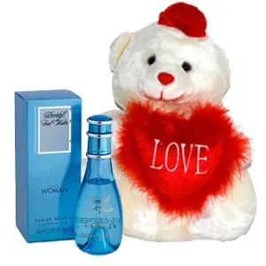 Cool-Water-Perfume-and-Teddy-Bear