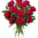 Red Reses in Vase