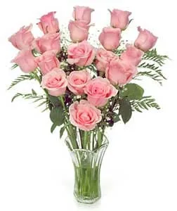 24 Pink Roses Sensation