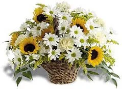 Sun Flowers Basket - Imported Flowers