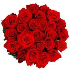 38 Red Roses