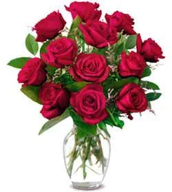 12 Red Roses in Vase