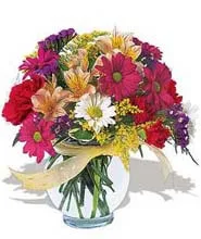 Colorfull - Imported Flowers