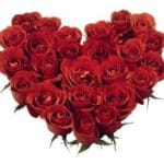 red-roses-heart.jpg